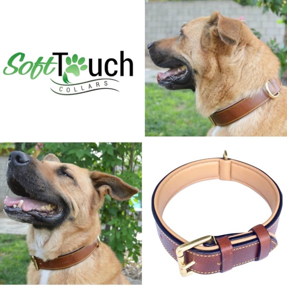SOFT TOUCH PADDED LEATHER COLLAR DOG XL 28” X 1.75” Luxury Brass 22”-25”